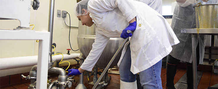 Wilden pump donation