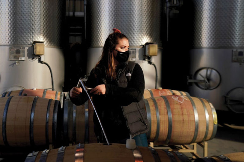 Brenna Pratt at Fresno State Winery
