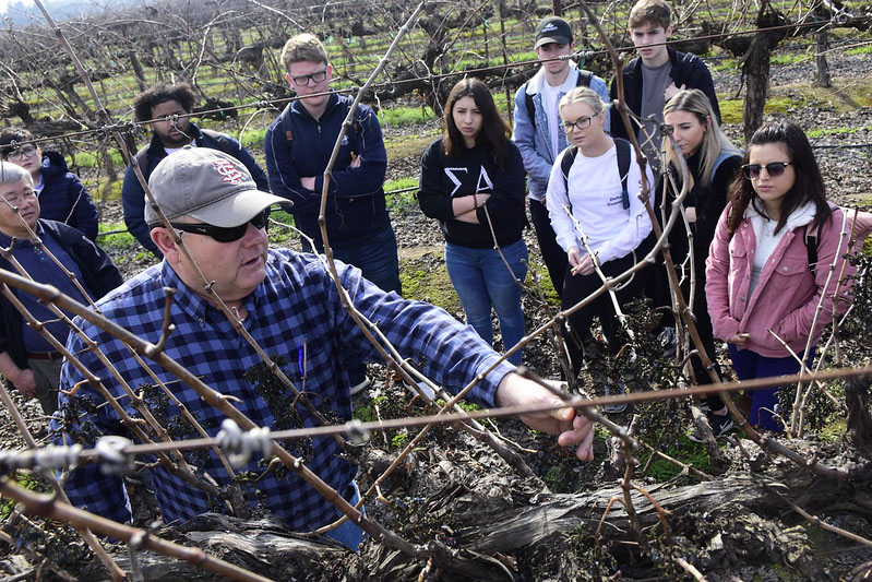 Mark Salwasser and students in campus vineyard