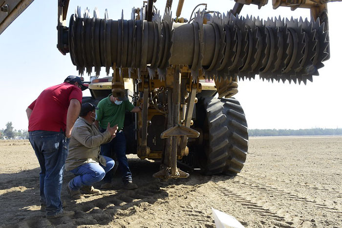 Orchard replanting project