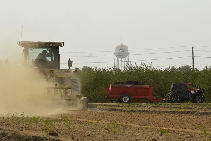 Orchard replanting project