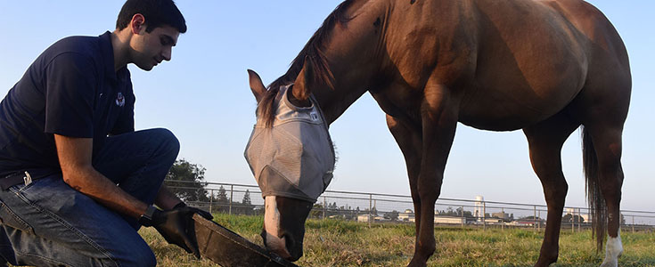 Christopher Gonzalez