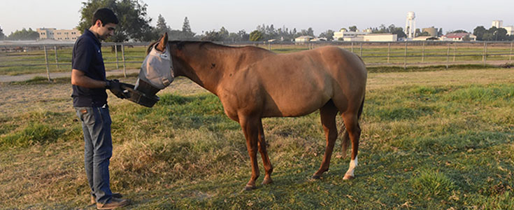 Christopher Gonzalez