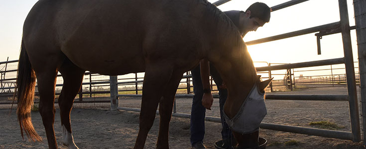 Christopher Gonzalez