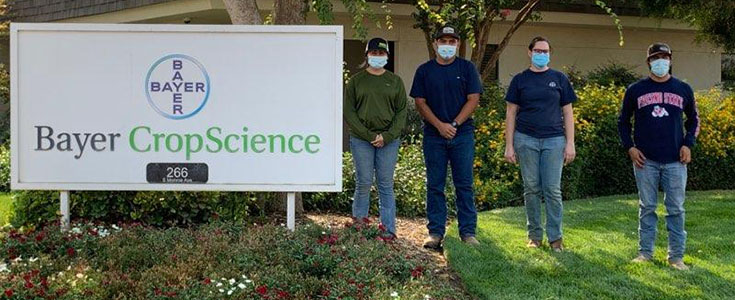 Bayer Crop Science interns