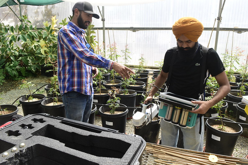 Ranvir Tung and Satpal Singh