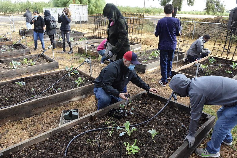 Patrick Velazquez working in the horticulture unit garden with TARGET program students