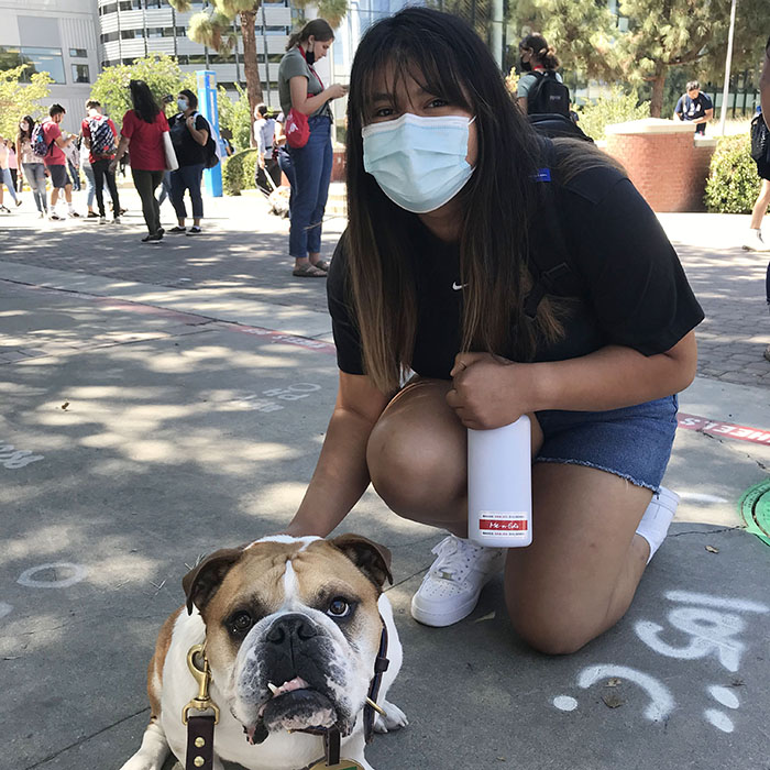 Chelsea Castillo Najera