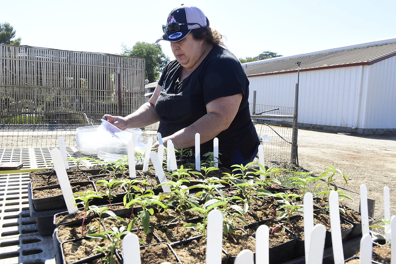 Victoria De Leon conducting a research trial