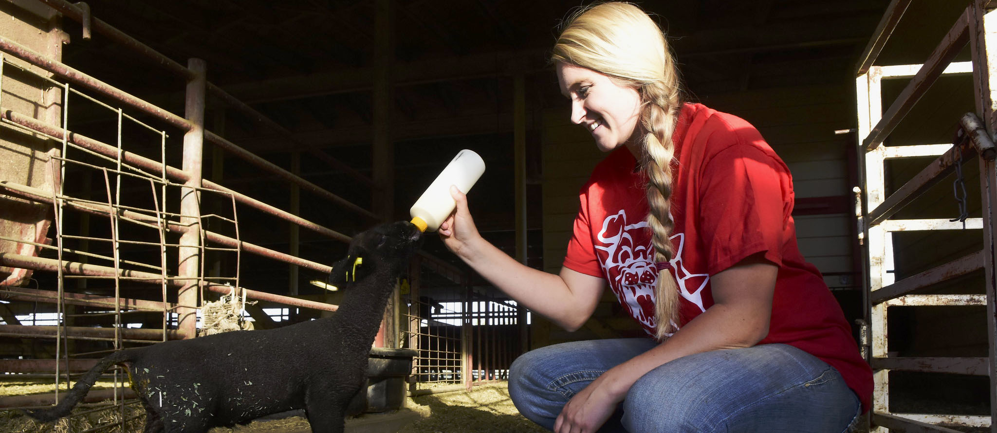 Annika Austin bottlefeeding lamb
