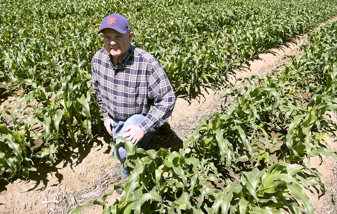 Mark Salwasser in campus corn field