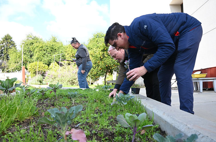 Hurst and Correia lend expertise to campus SECREd Garden