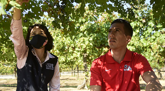 Dr. Christy Sun and David Garcia in campus vineyard