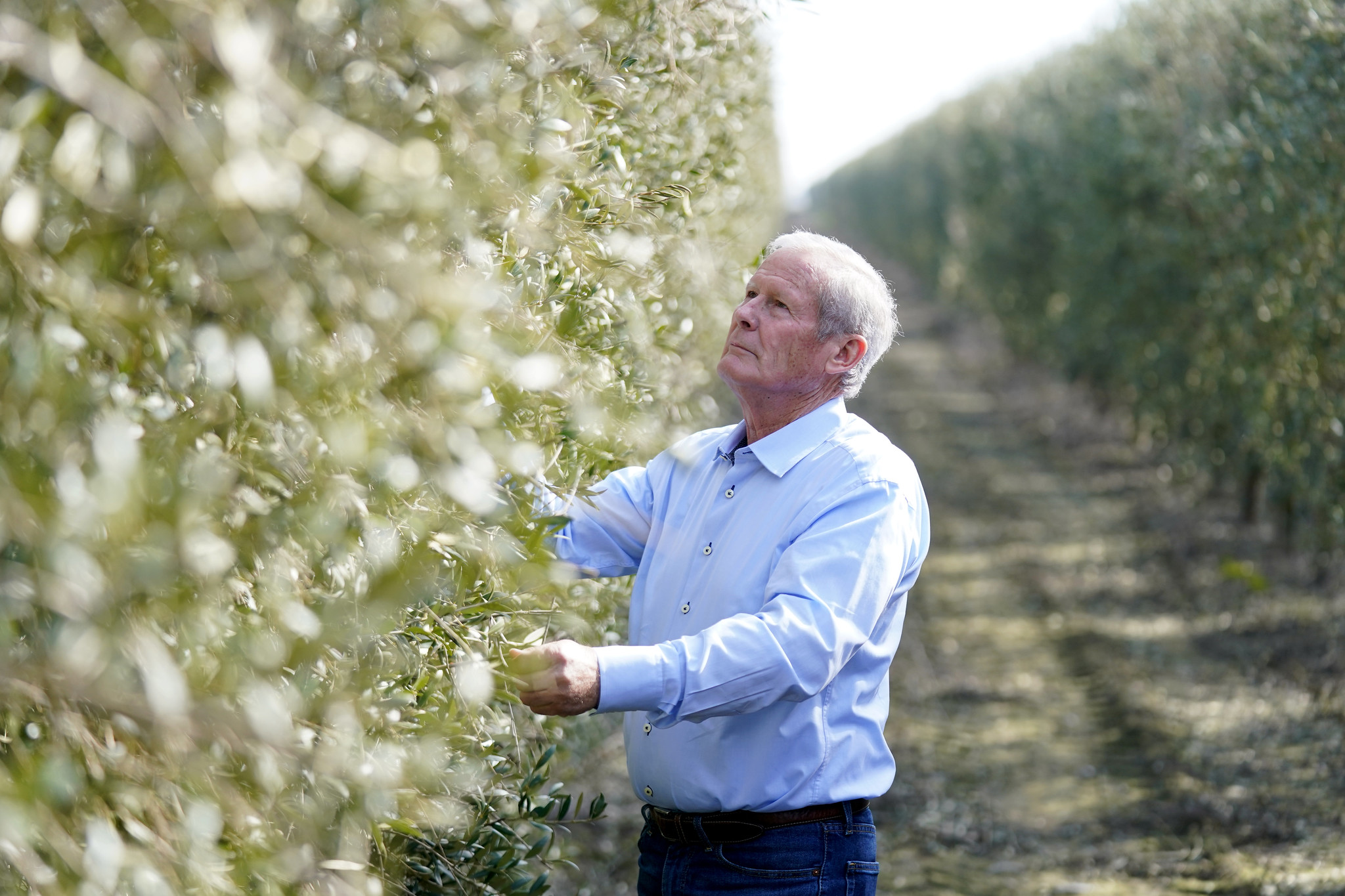 Don Cameron in orchard