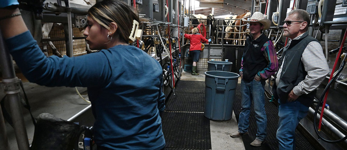 New farm manager Dr. Vincent Roos takes a tour of the campus dairy.