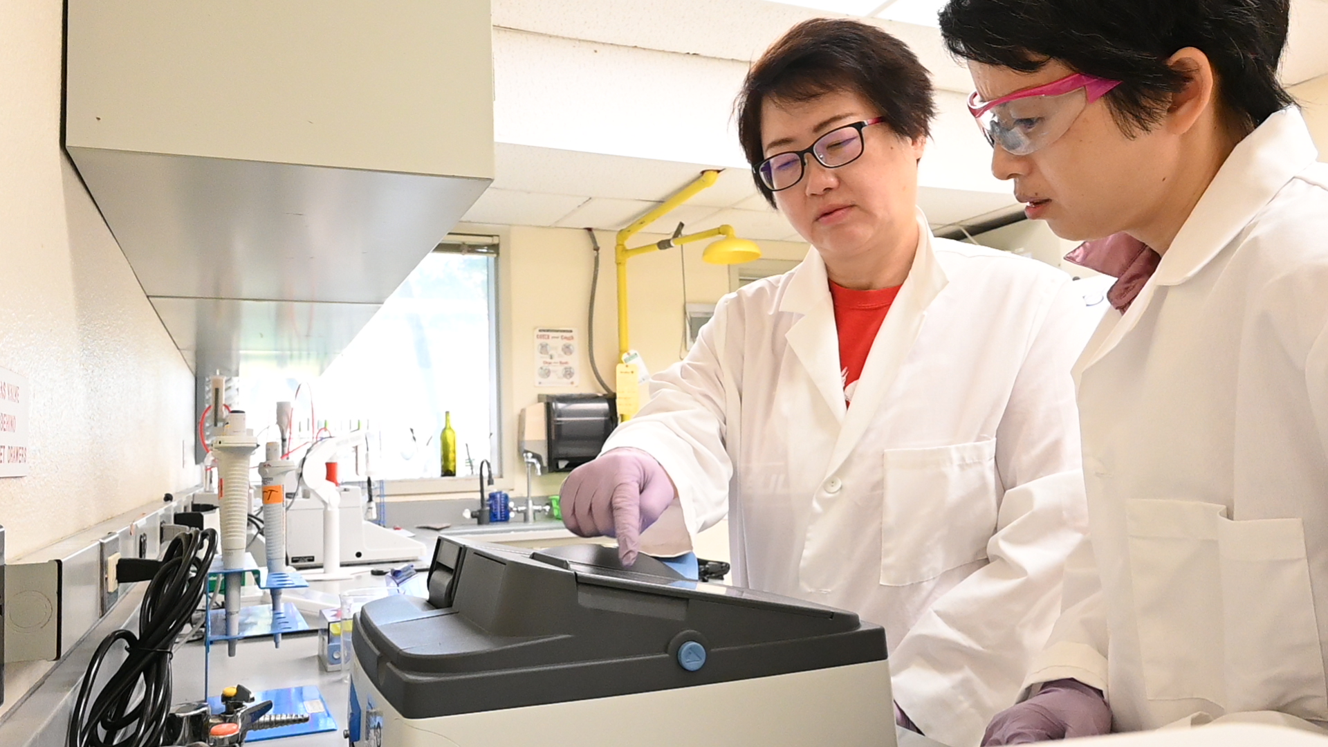 Bella Chueh and Dr. Kristy Sun in lab