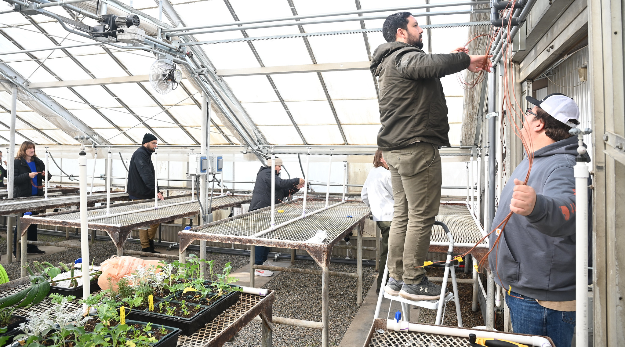 Nursry manager Ernesto Duran and students add an irrigaiton system and wiring to a greenhouse.