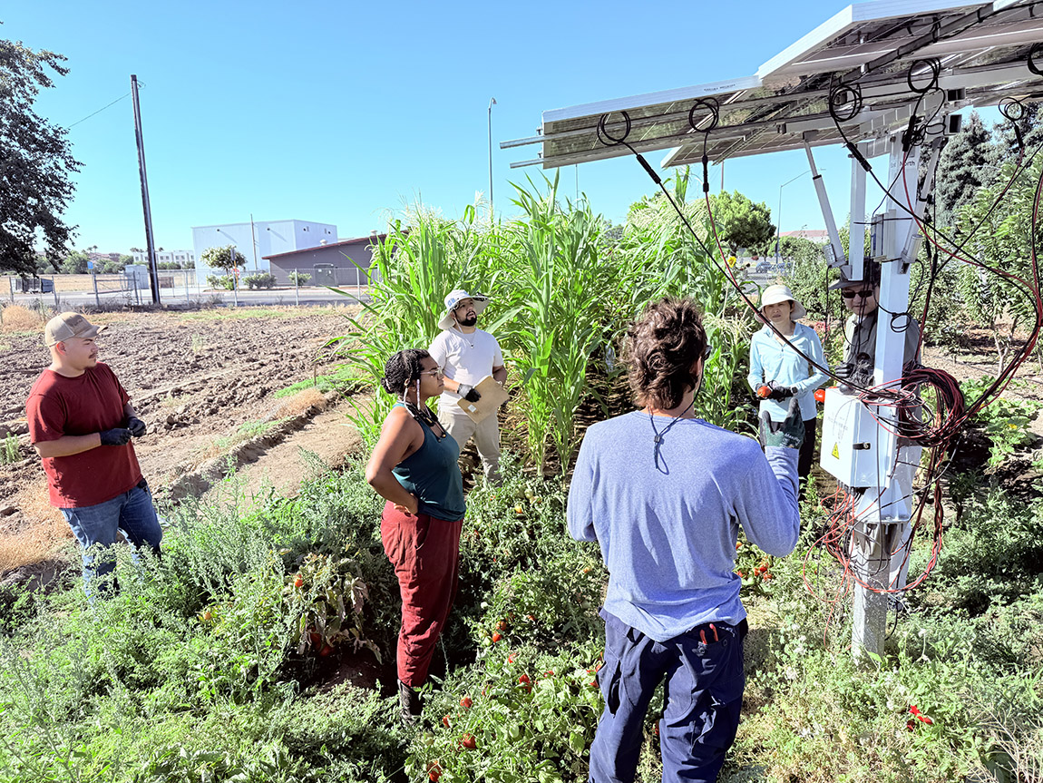 Faculty and students discuss agrivoltaic technology at the campus horticulture unit