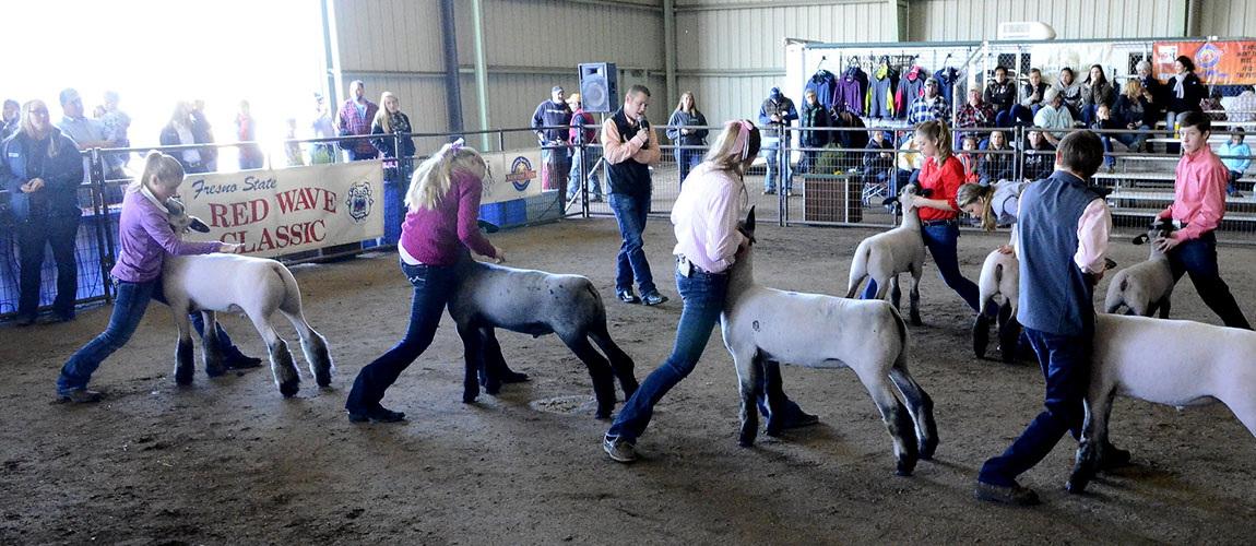 Great Western Livestock Show x Red Wave Classic Junior Livestock Show