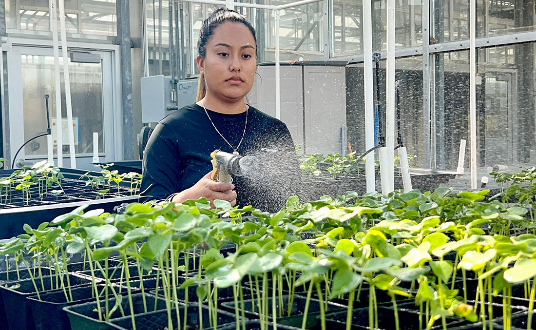Yadira Garcia-Hernandez in greenhouse at campus internship