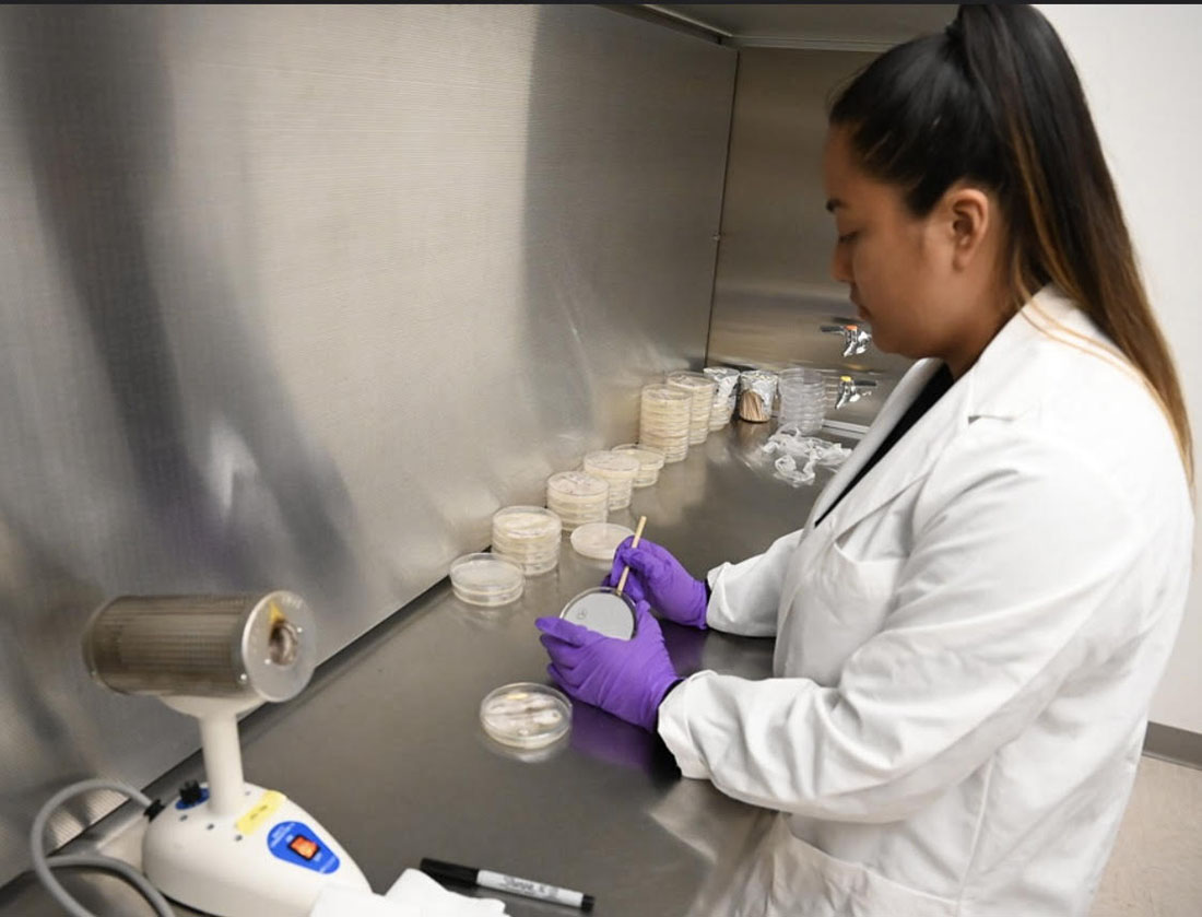Yadira Garcia Hernandez in Jordan Agricultural Research Center lab.