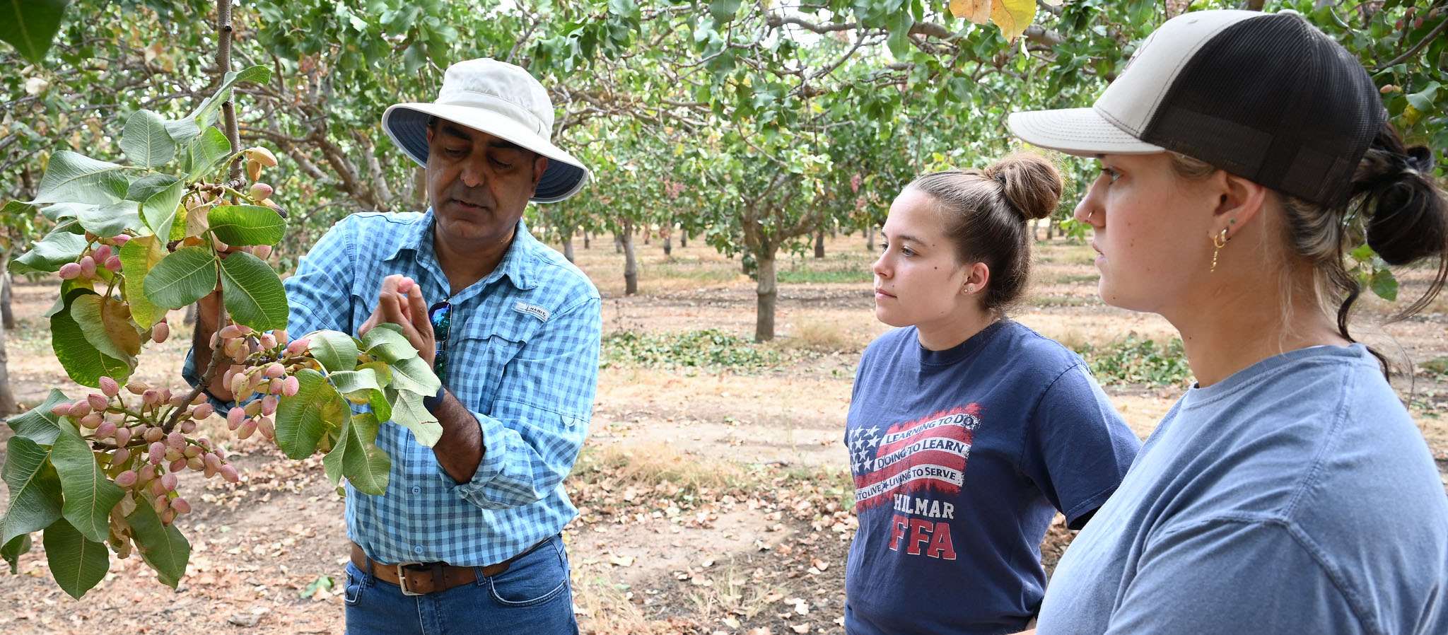 Fresno State plant science faculty Dr. Gurreet Brar, students Larynne Holland and Taylor Hornburg gather data for a pistachio research project on harvest day in the campus orchards.