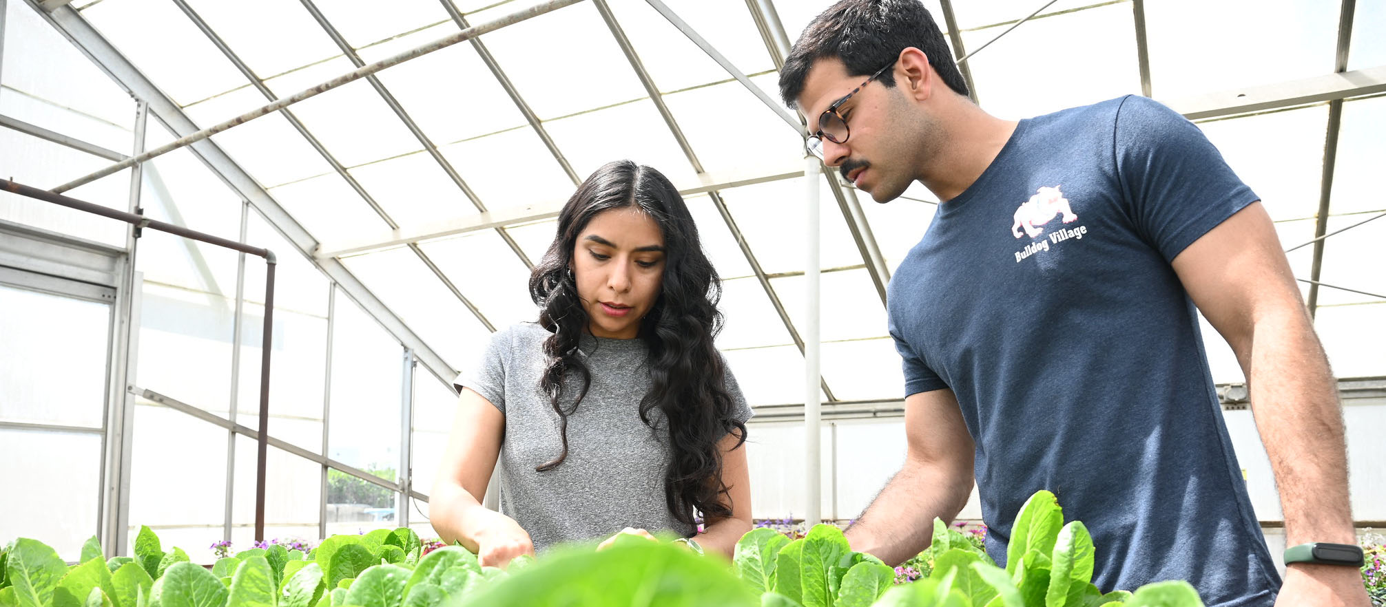 Pedro Squiapati and Diana Camarena prepare research study samples