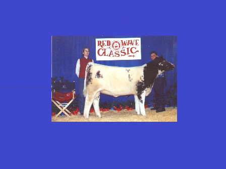Reserve Grand Champion Heifer 2000