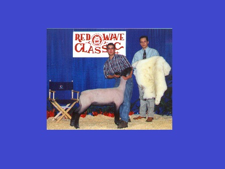 Reserve Grand Champion Lamb 2000