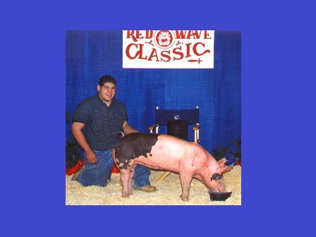 Reserve Grand Champion Hog 2000