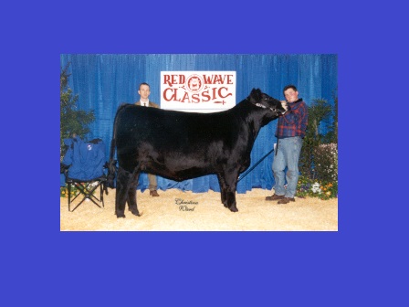 Reserve Grand Champion Heifer 2002