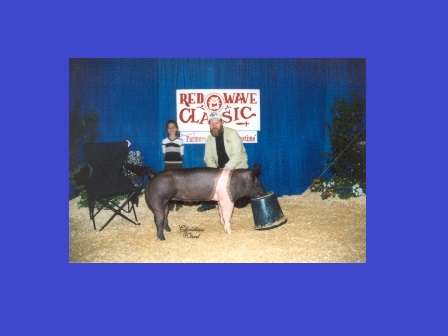 Reserve Grand Champion Hog 2002