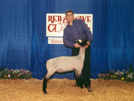 reserve Grand Champion Futurity Lamb 2003