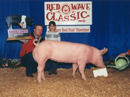 Grand Champion Hog 2003