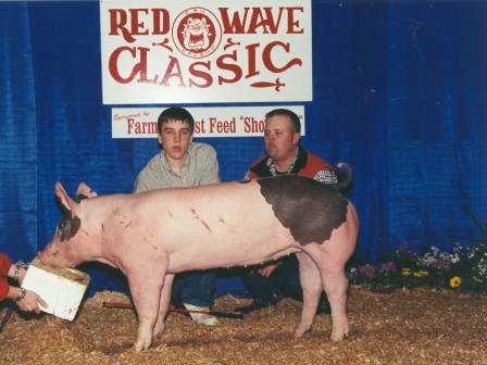 Reserve Grand Champion Hog 2003