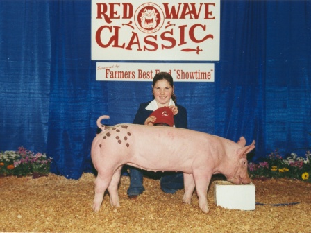 Reserve Grand Champion Futurity Hog 2003