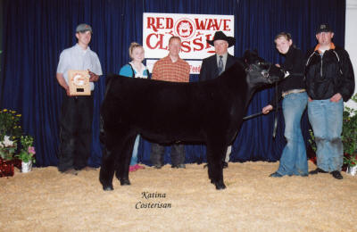 Reserve Grand Champion steer 2005