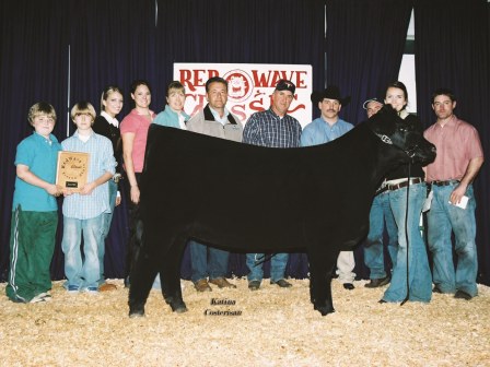 reserve Grand Champion Heifer 2006