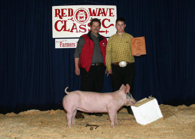 Reserve Grand Champion Hog 2008