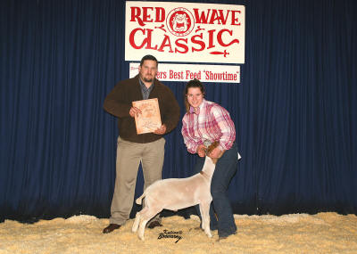 Reserve Grand Champion Meat Goat 2008