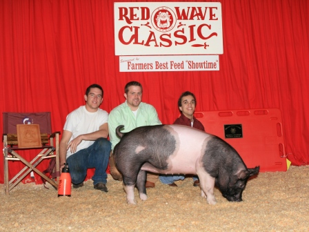 Reserve Grand Champion Hog 2010