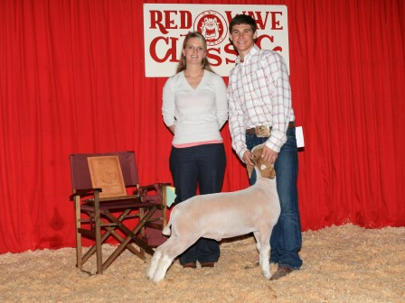 reserve Grand Champion meat goat 2010