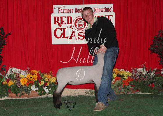 Reserve Grand Champion futurity Lambs 2014
