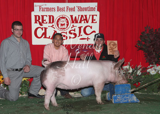 Reserve Grand Champion Hog 2014