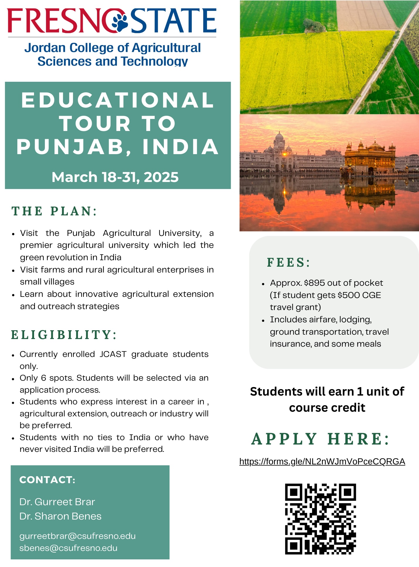 punjab trip flier