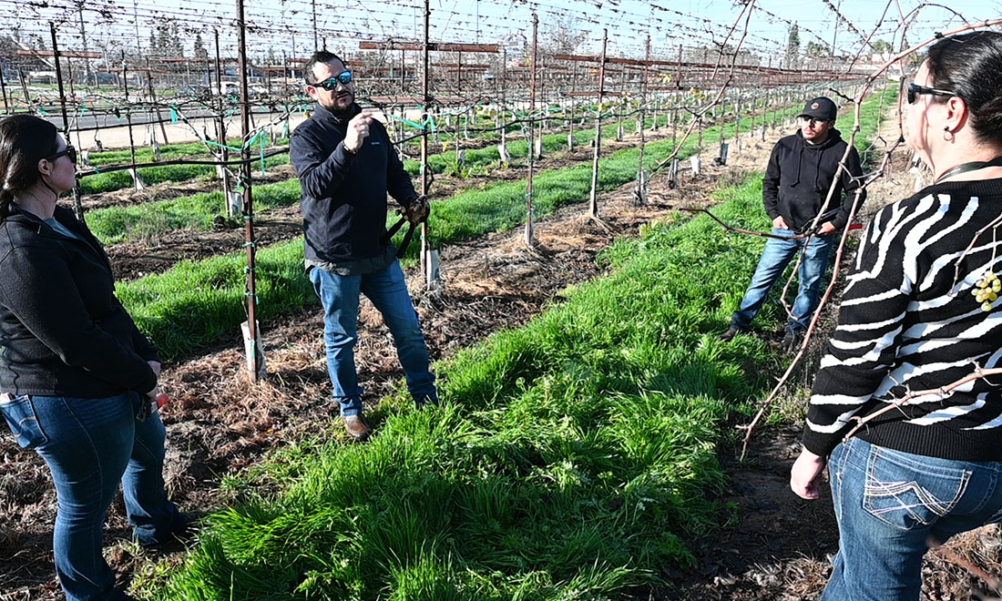 Polibio Moreno (SNFL Group) examines ivory grape vines in campus vineyard with department chair Dr. Sonet Van Zyl and vineyard staff Jesus Zurita and Leah Groves.