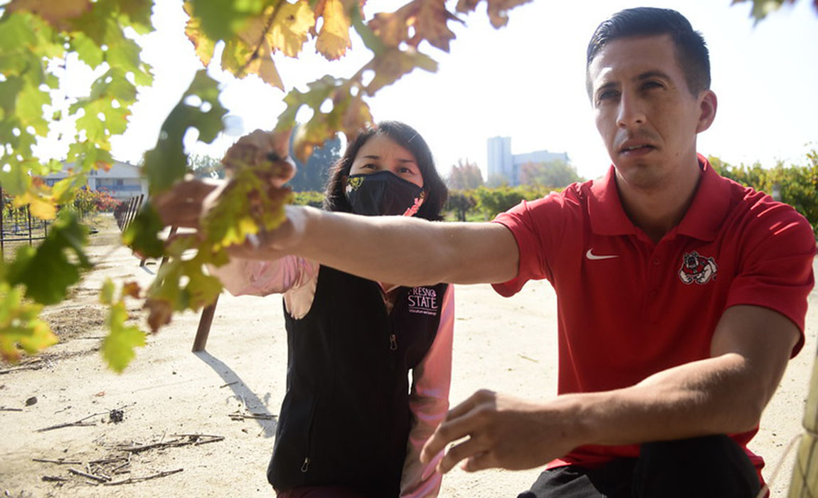 David Gardia and Dr. Krsty Sun examine vines 