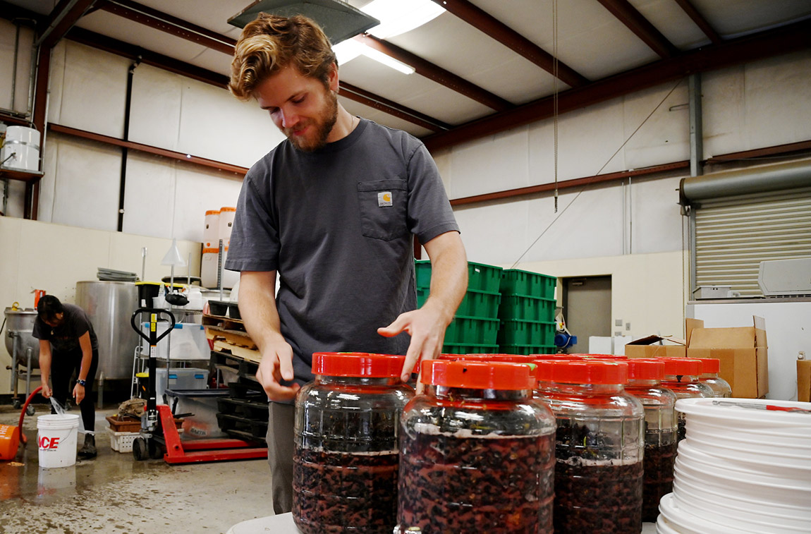 Graduate student Quinn Cahoon prepares Pinot Noir wine samples for a research project.