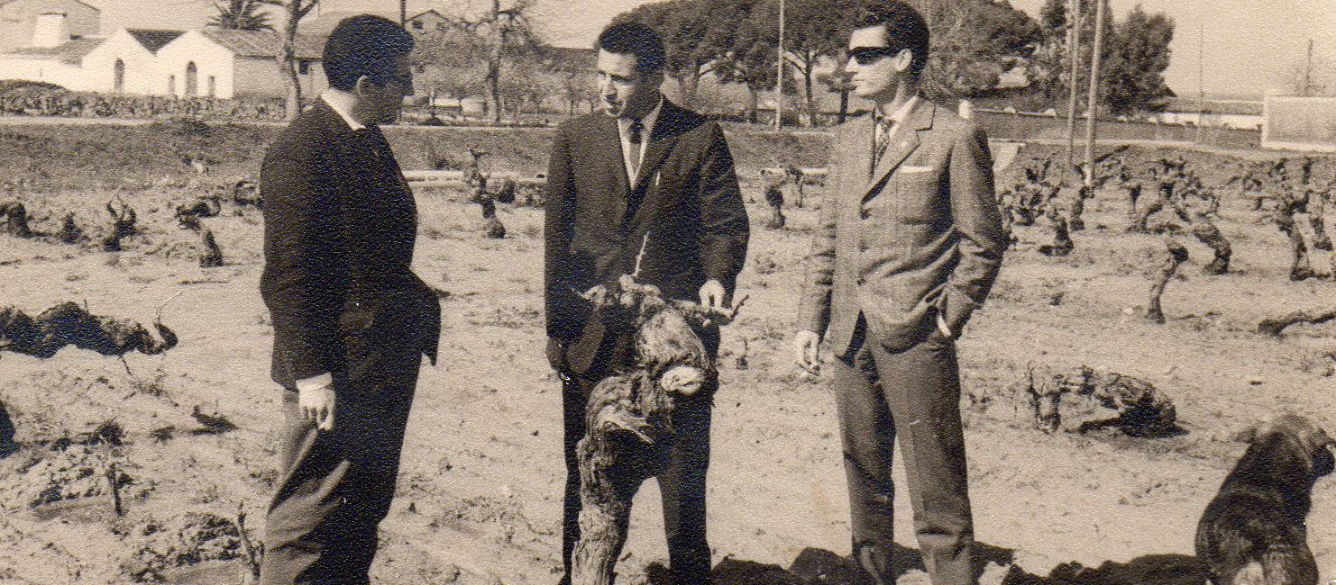 Fresno State Viticulture and Enology Department founder Dr. Vincent E. Petrucc.