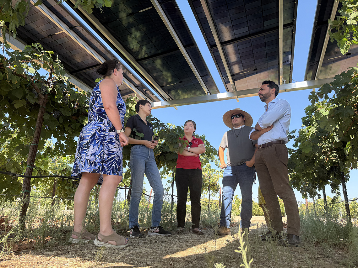 Faculty and students discuss agrivoltaic technology at the campus horticulture unit